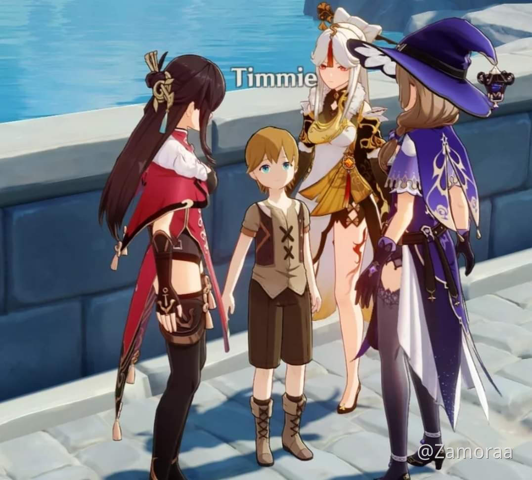 Genshin impact timmie