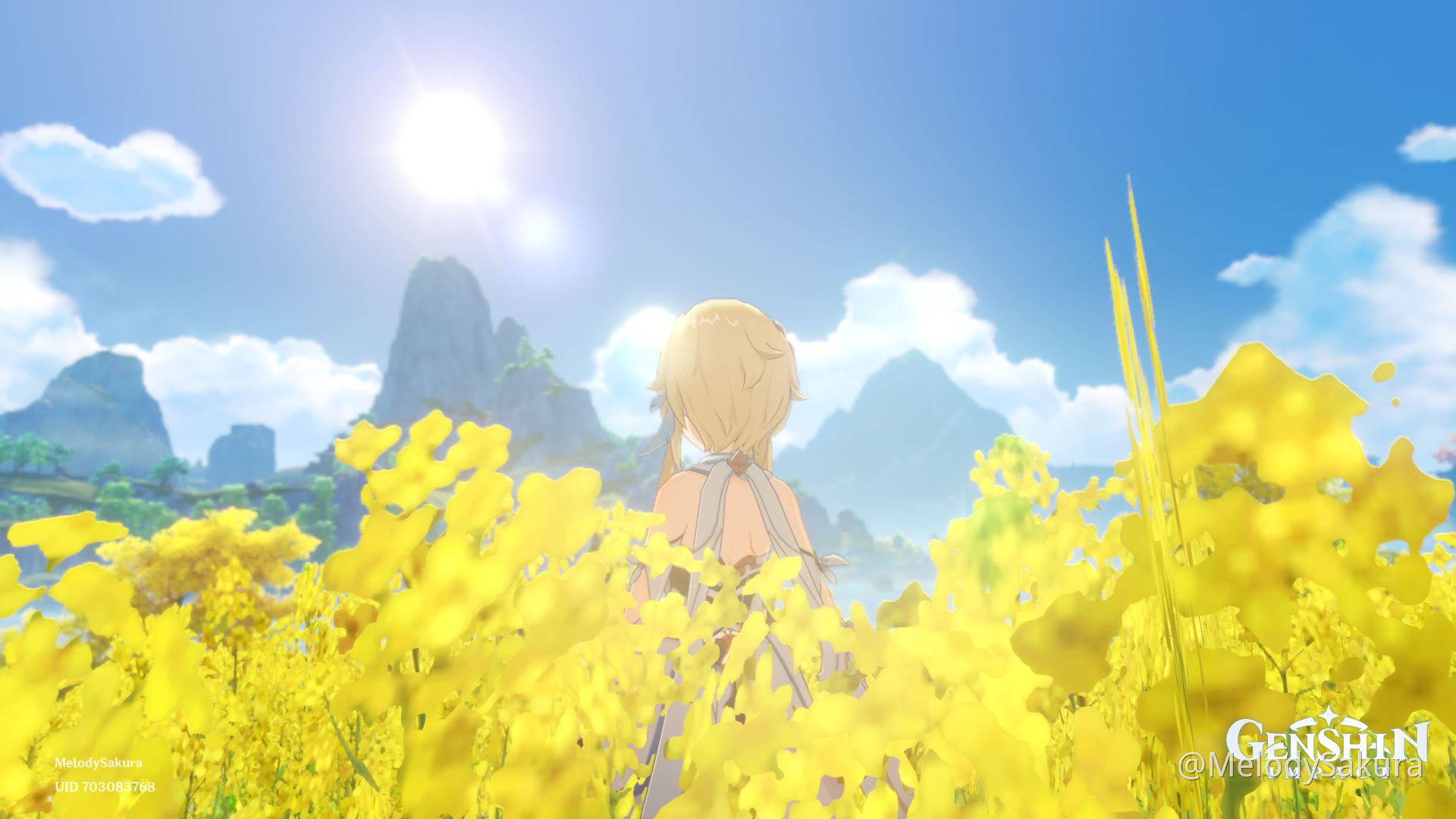 Beautiful flower fields Genshin Impact HoYoLAB