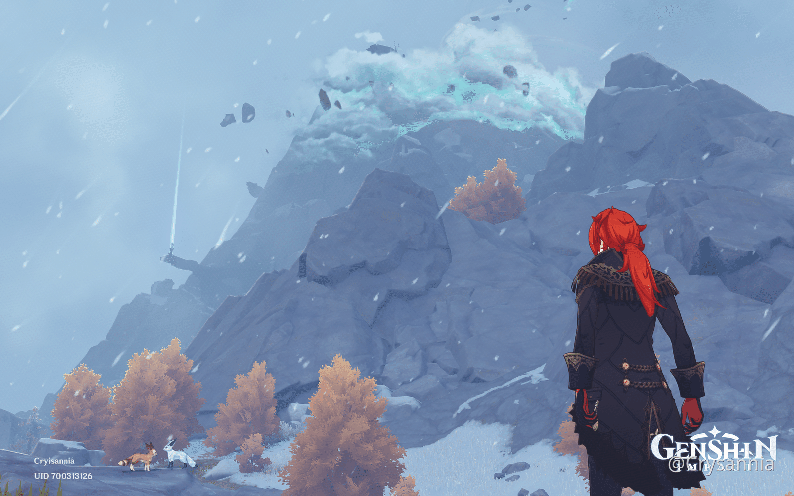 The love history between a Dragonspine white fox and a Galesong Hill