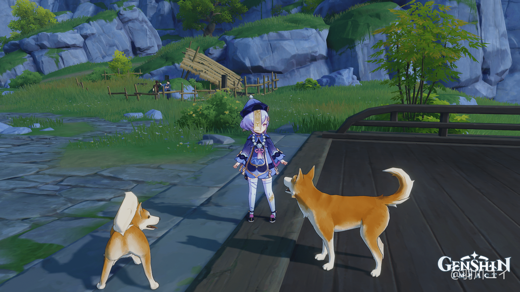 Qiqi and dog at liyue Genshin Impact HoYoLAB