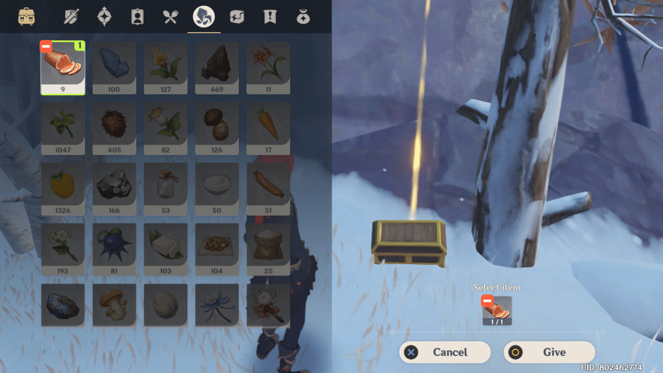 Emergency Supply Box in DragonSpine Random Daily Quest Genshin