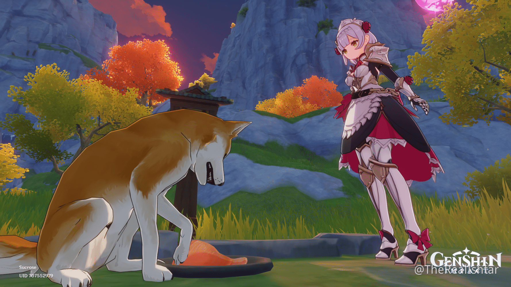 Feeding Pets Dogs ?! Genshin Impact HoYoLAB