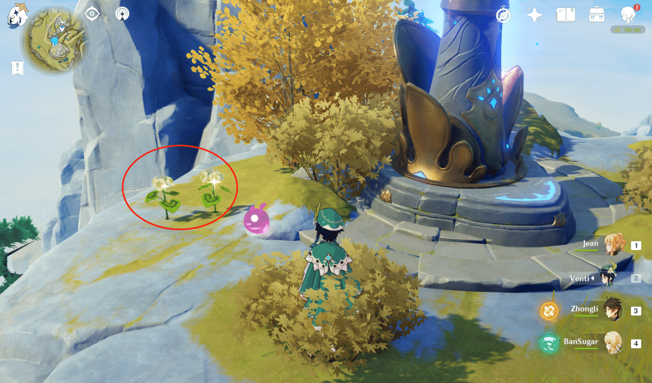 [Guide] How to get 33 Qingxin in just 5 minutes Genshin Impact HoYoLAB