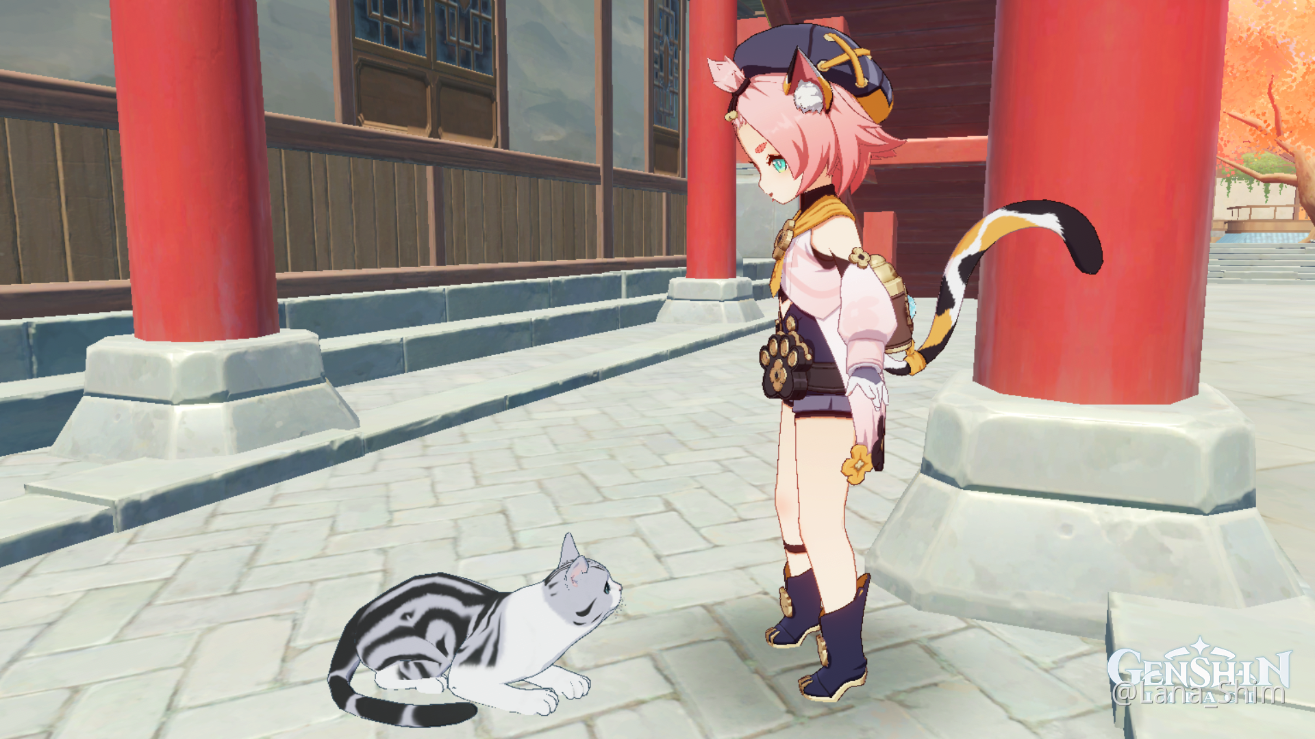 Cats ^_^ Genshin Impact | HoYoLAB
