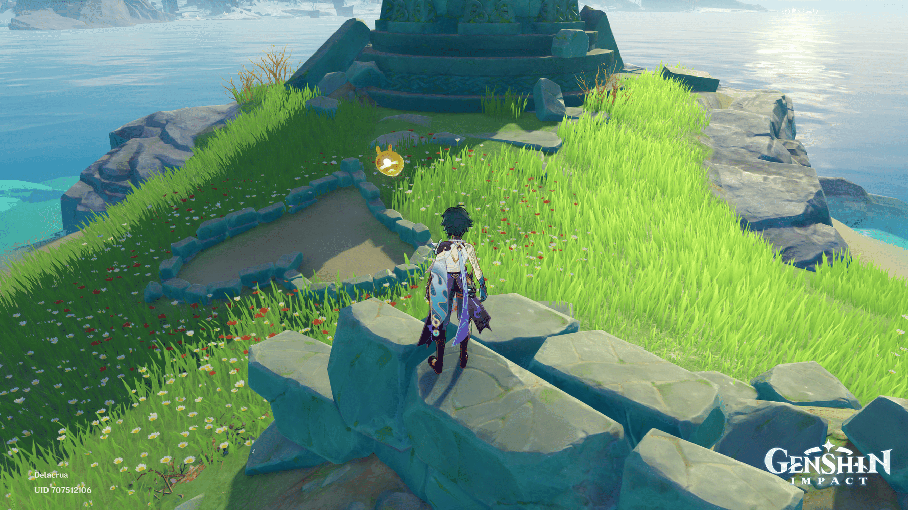 Heart island chest >_