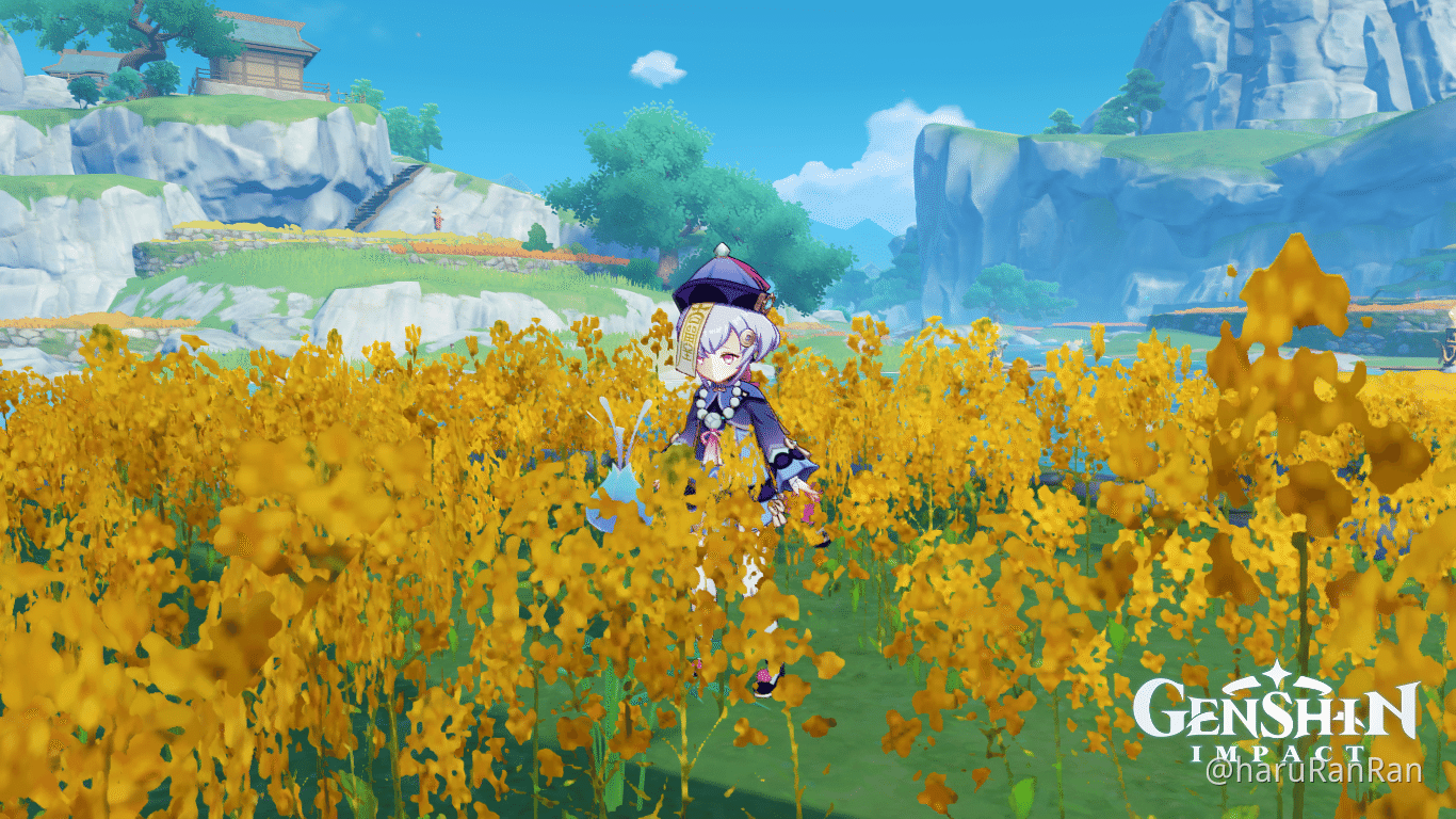Qiqi Picking Herbs Genshin Impact HoYoLAB