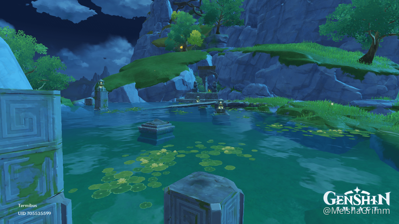 A little game Part 9 Genshin Impact HoYoLAB