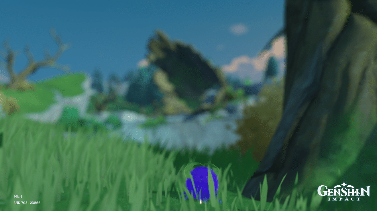 [V1.4 Guide] The Windblume Star's Guide to Choosing the Windblume