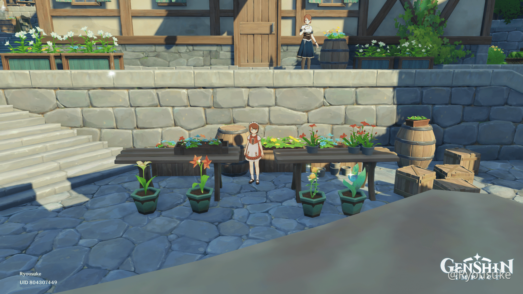 Take a Photo Flora Genshin Impact HoYoLAB