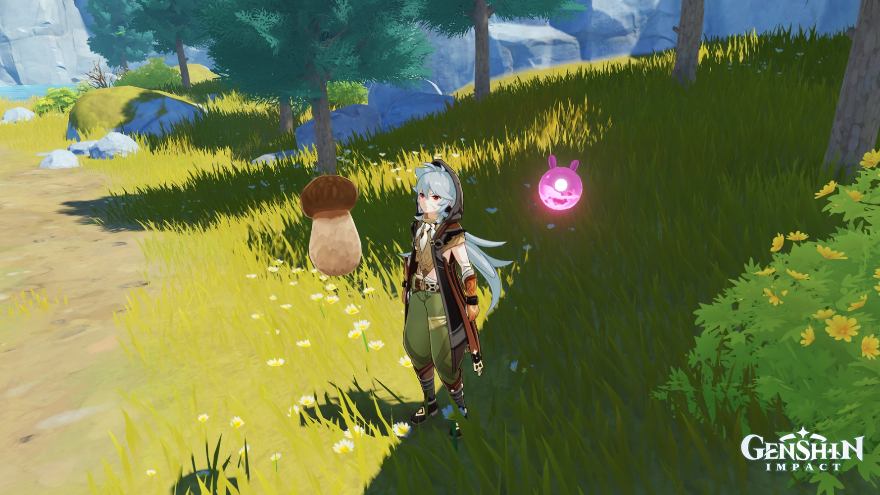 Matsutake volant Genshin Impact HoYoLAB