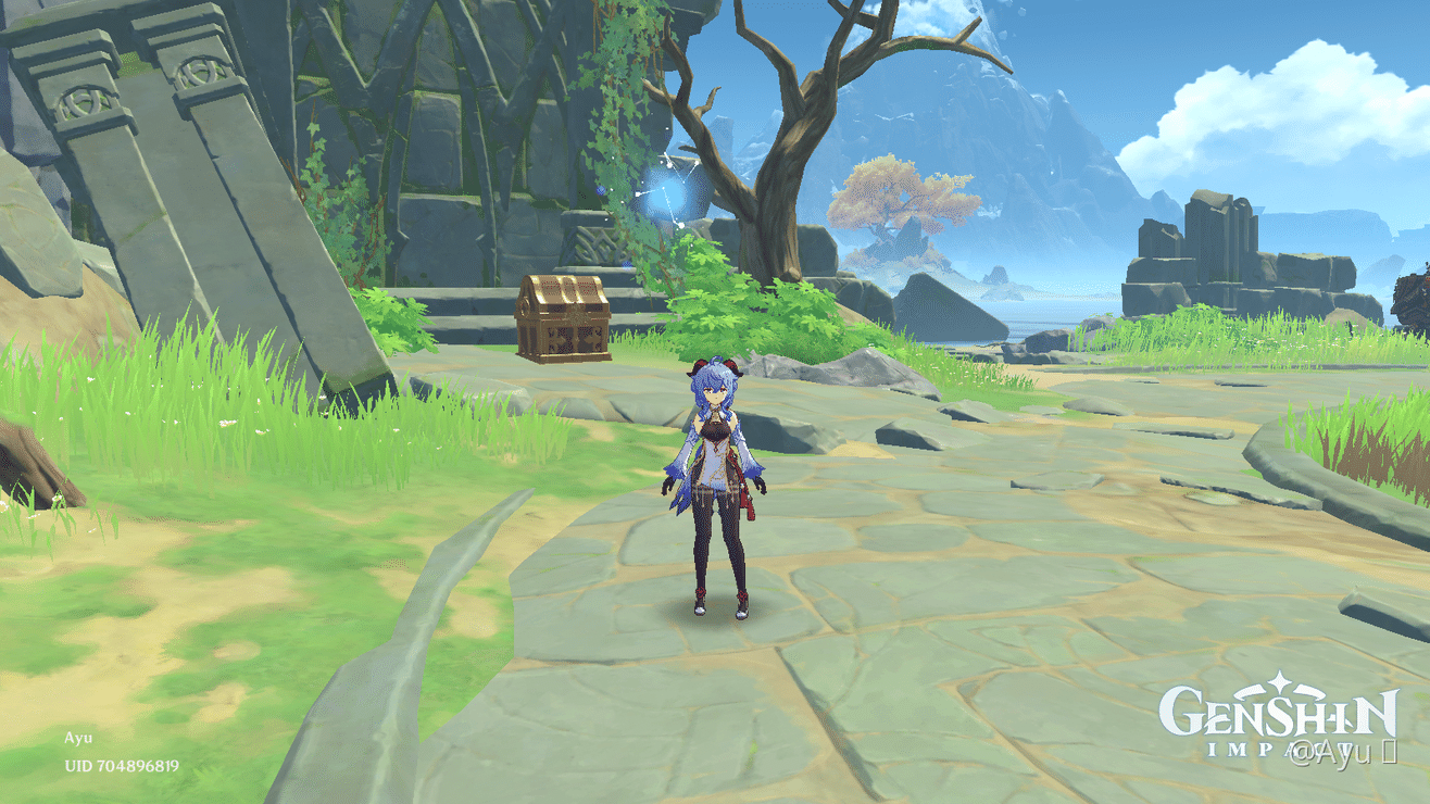 Chest by Guyun Stone Forest Respawn? Genshin Impact HoYoLAB