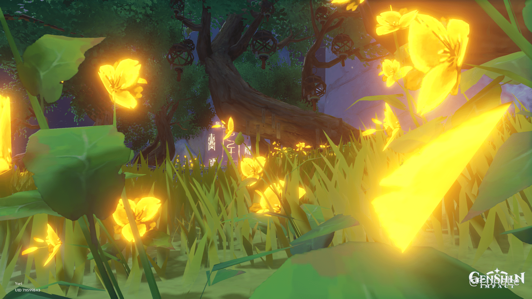 I love these glowing flowers in Liyue so much!! ヽ(>∀