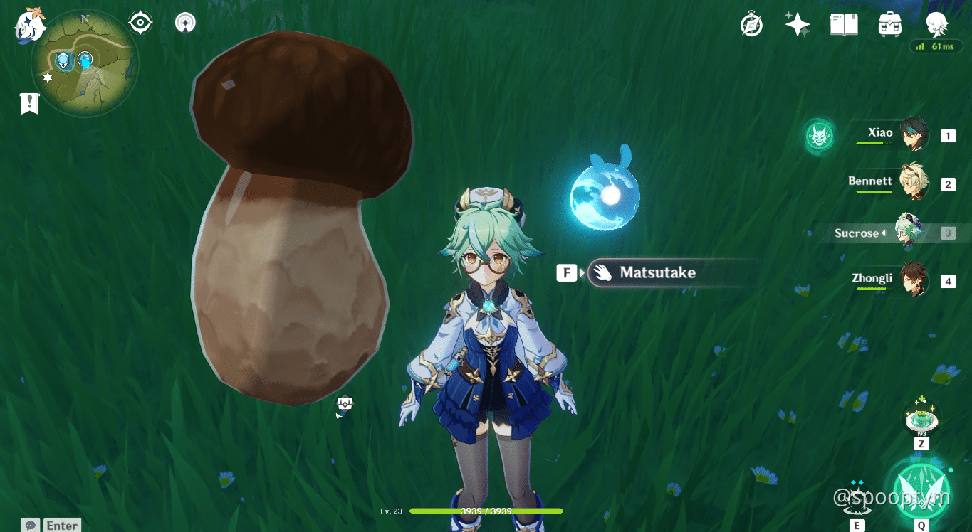 Giant Matsutake Genshin Impact HoYoLAB