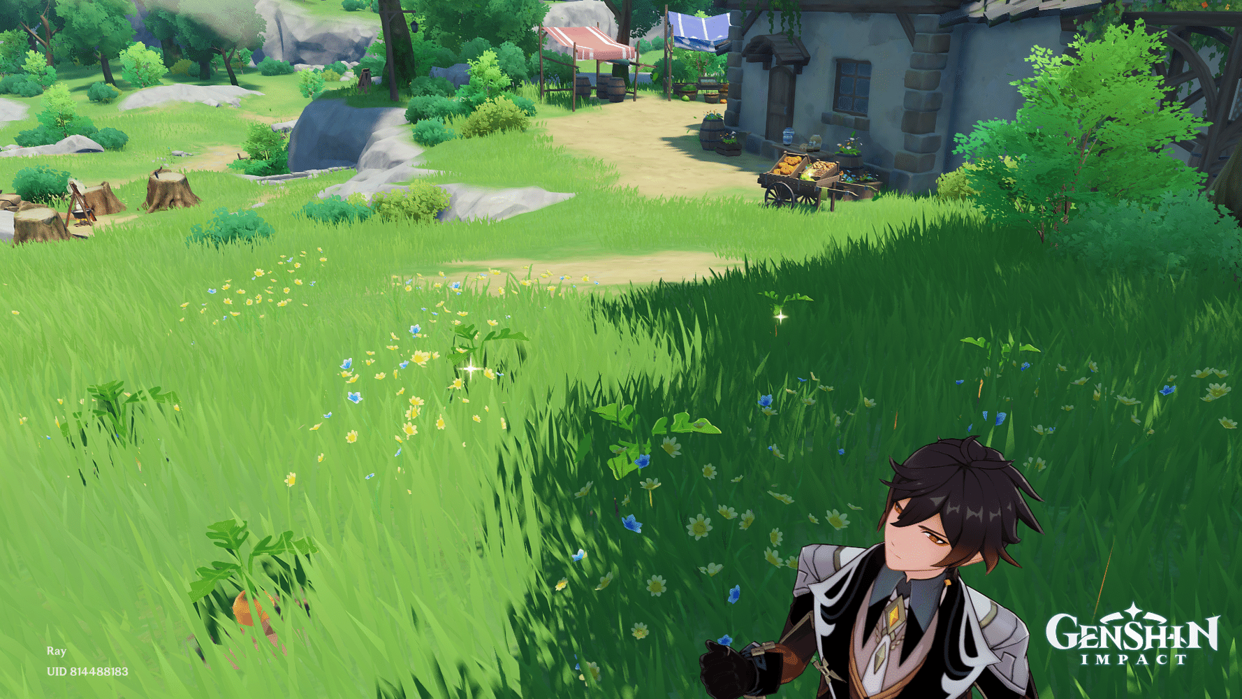 Farming in Serenitea teapot Genshin Impact HoYoLAB