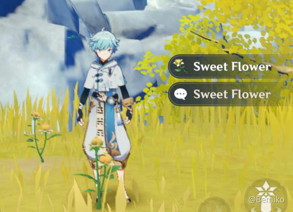 Inside you there are two sweet flowers Genshin Impact HoYoLAB