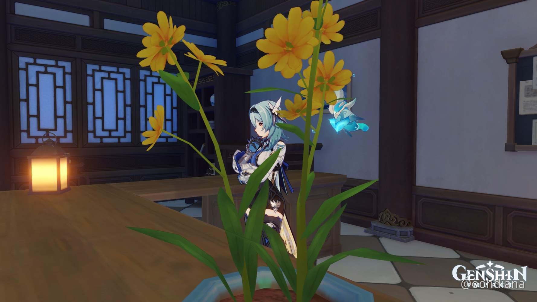 Eula at my teapot Genshin Impact HoYoLAB