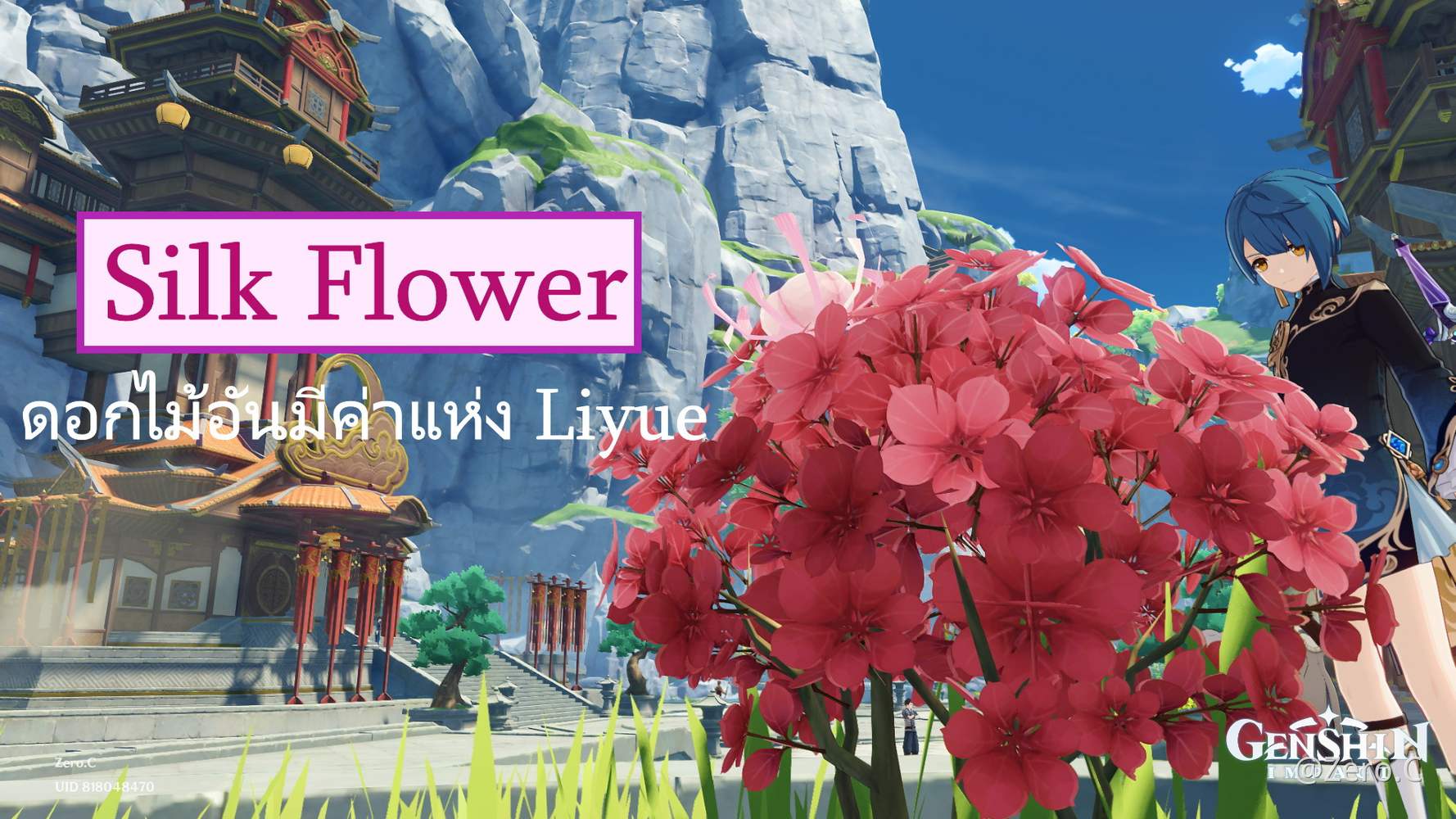 เที่ยว Teyvat กับนายน้อย ตอน Silk Flower ดอกไม้อันมีค่าแห่ง Liyue