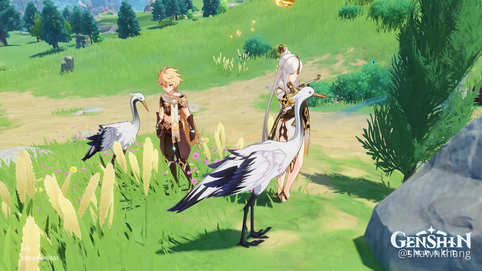 friends with the cranes Genshin Impact HoYoLAB