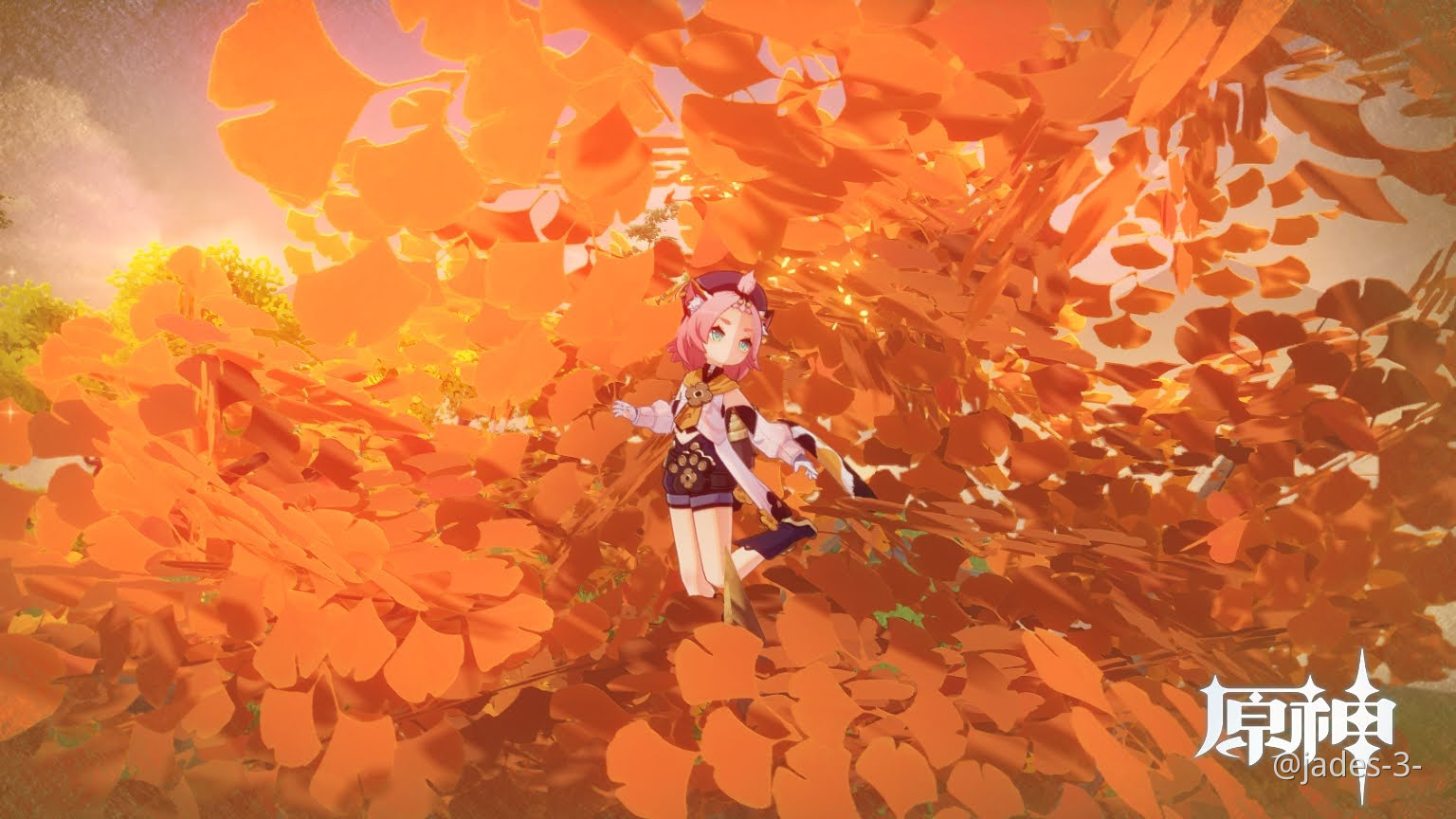 how's the picture I took in the teapot? Genshin Impact HoYoLAB