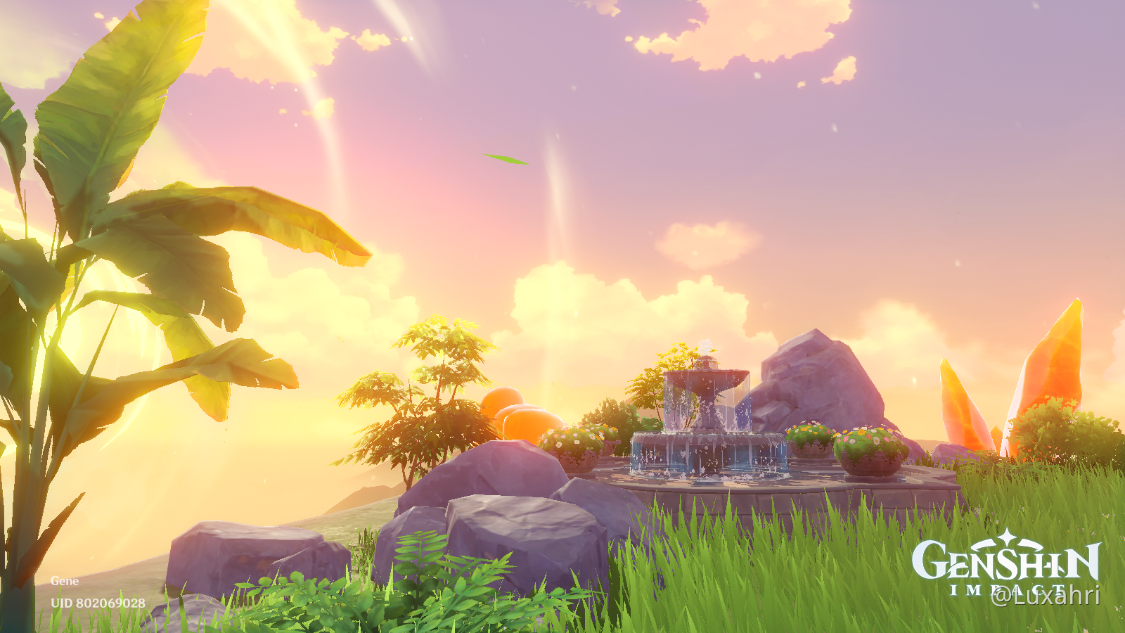 Some of my best shots in my Serenitea Pot realms Genshin Impact HoYoLAB