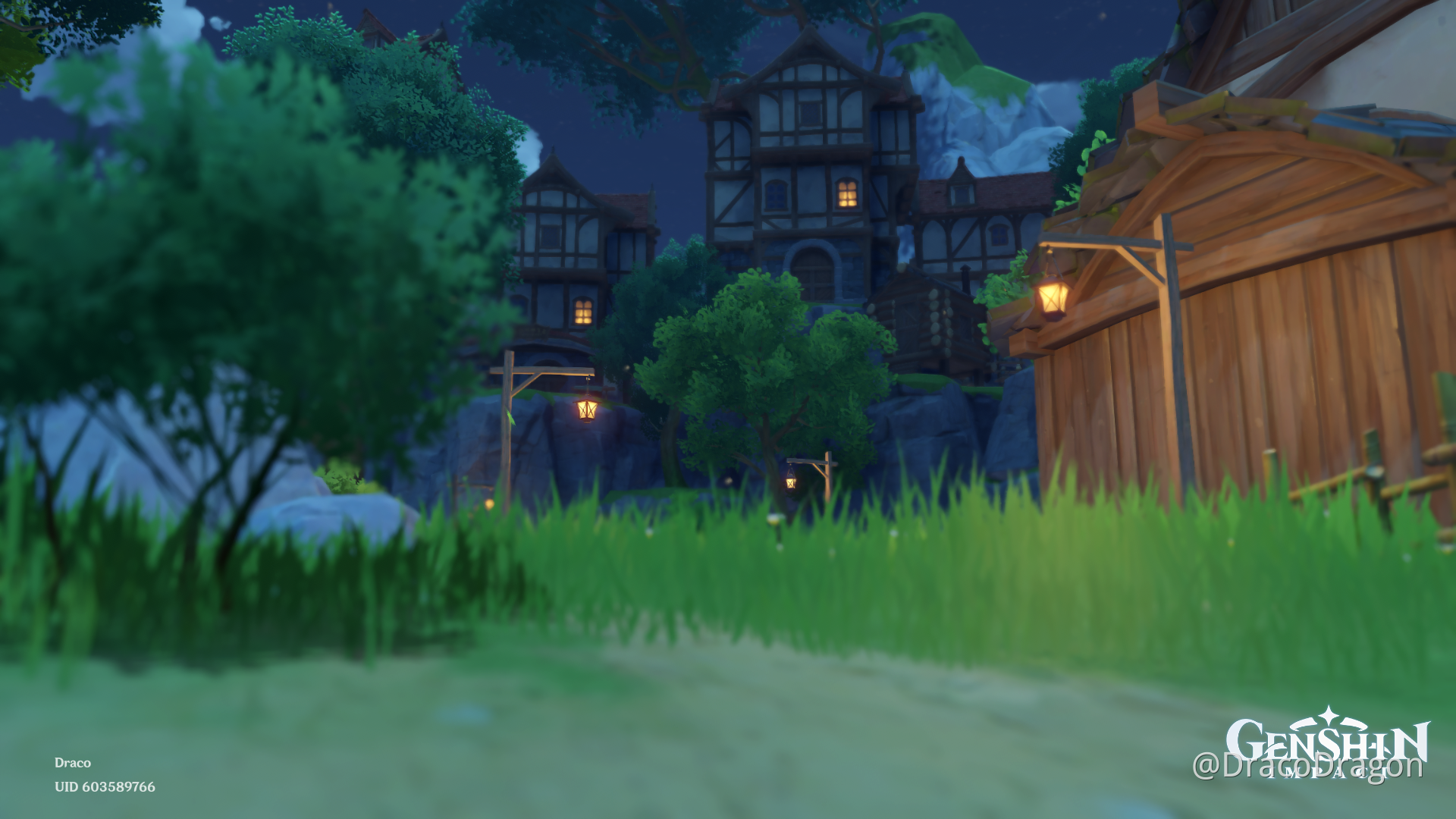 My cliff town Anthurium Genshin Impact HoYoLAB