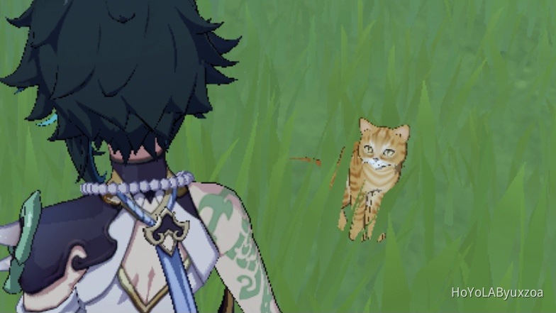 CAT Genshin Impact | HoYoLAB