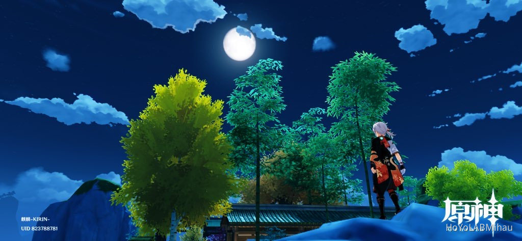 夜の原神 Genshin Impact in the night Genshin Impact | HoYoLAB