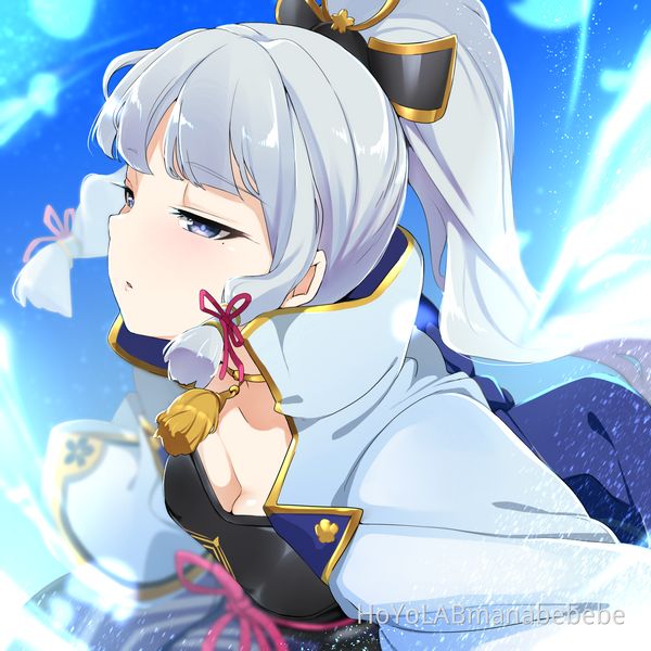 稲妻楽しみ Genshin Impact Hoyolab