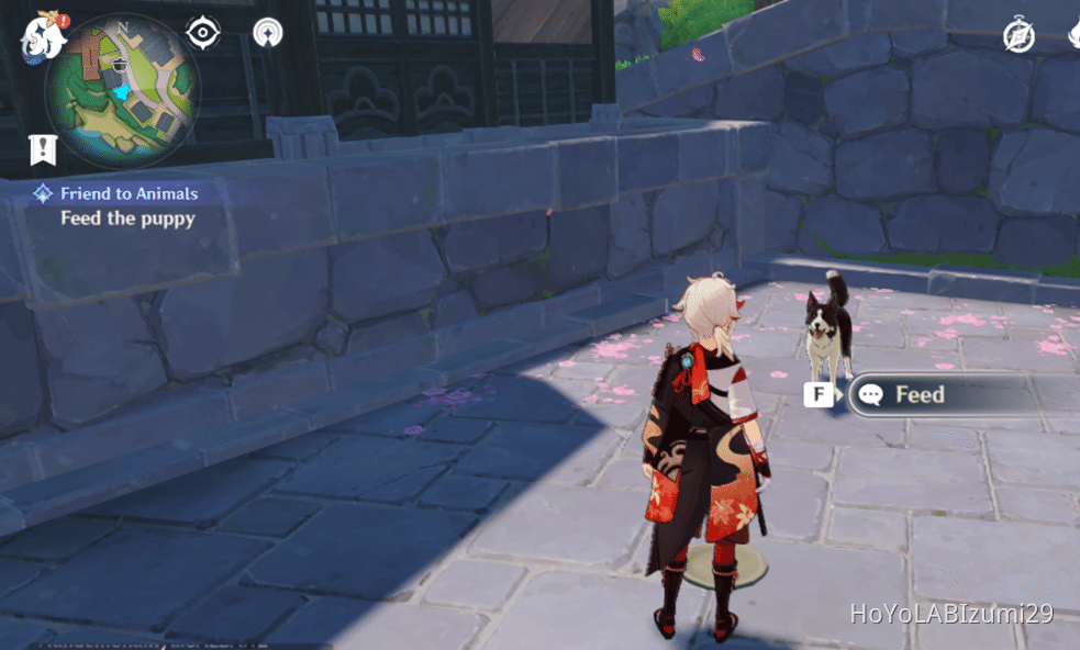 Feed the puppy Genshin Impact HoYoLAB