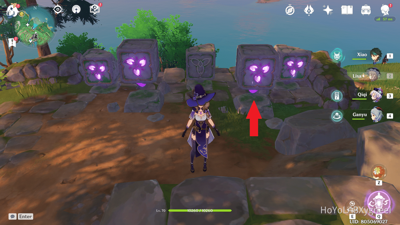 Cube Device Puzzle Guide in front of the COURT OF FLOWING SAND DOMAIN