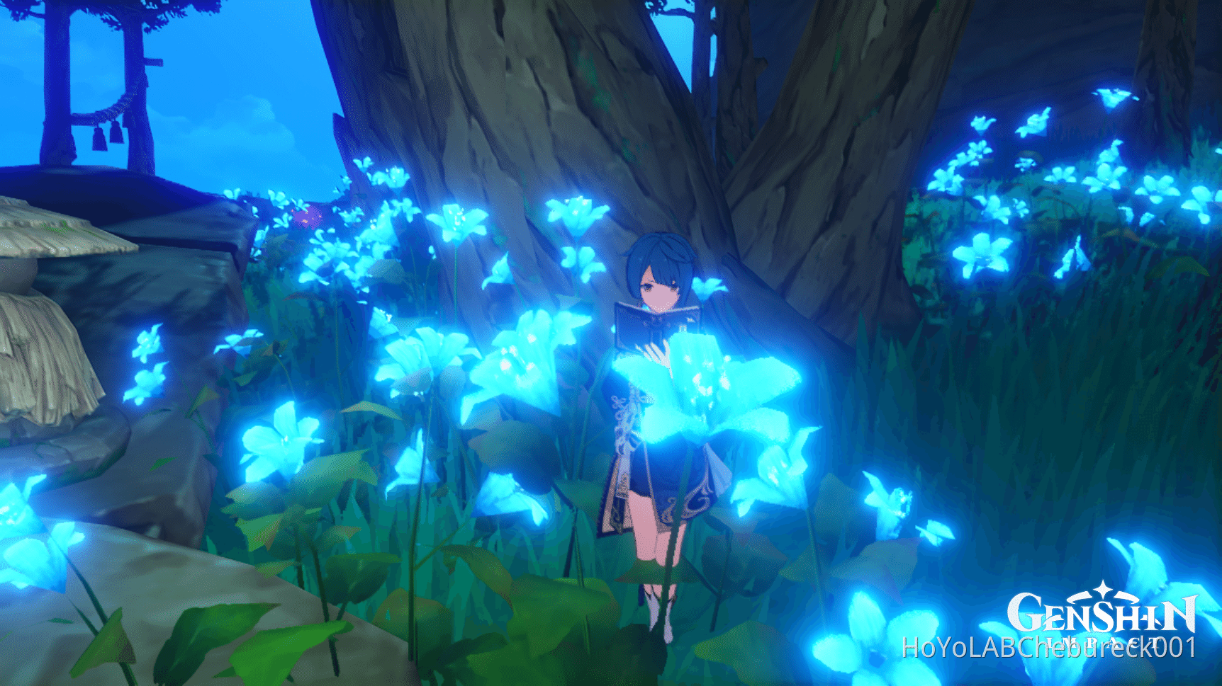 инадзуме инадзуме