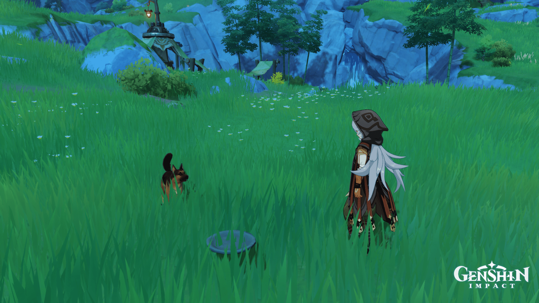 Feed the Dog Genshin Impact HoYoLAB