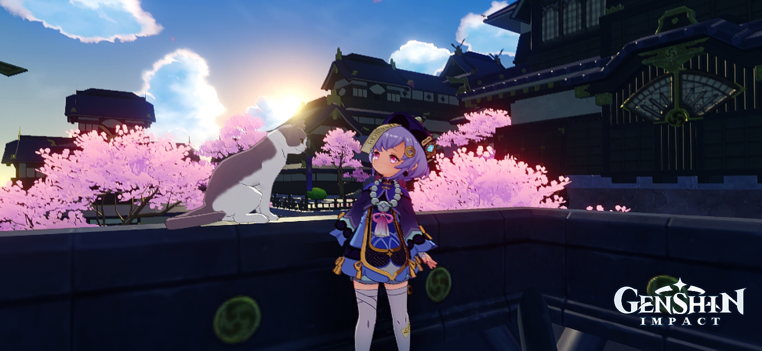 Place Genshin Impact | HoYoLAB