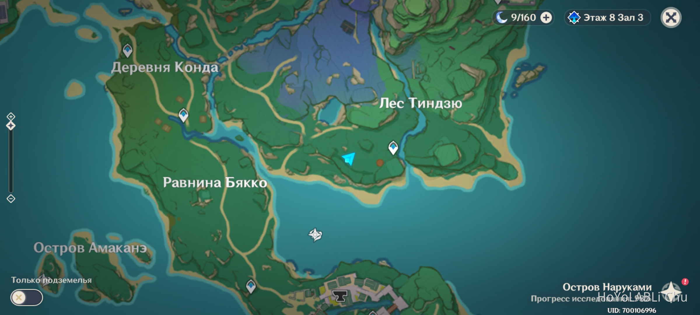 Электрокул великий храм наруками. Приливная равнина геншин. Как пройти в пещеру храма наруками. Инадзума лес тиндзю. Храм наруками геншин.