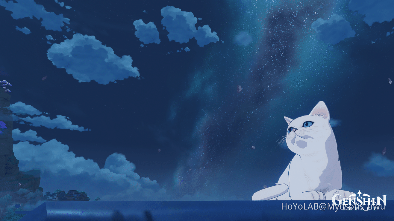 Petit Chat Blanc 3 Mihoyo Player Community