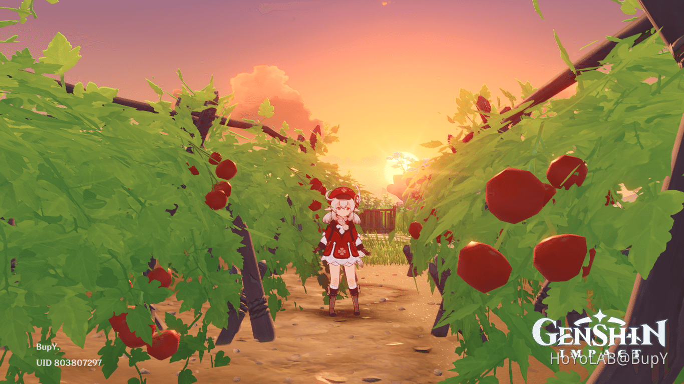 Klee & tomatoes Genshin Impact HoYoLAB