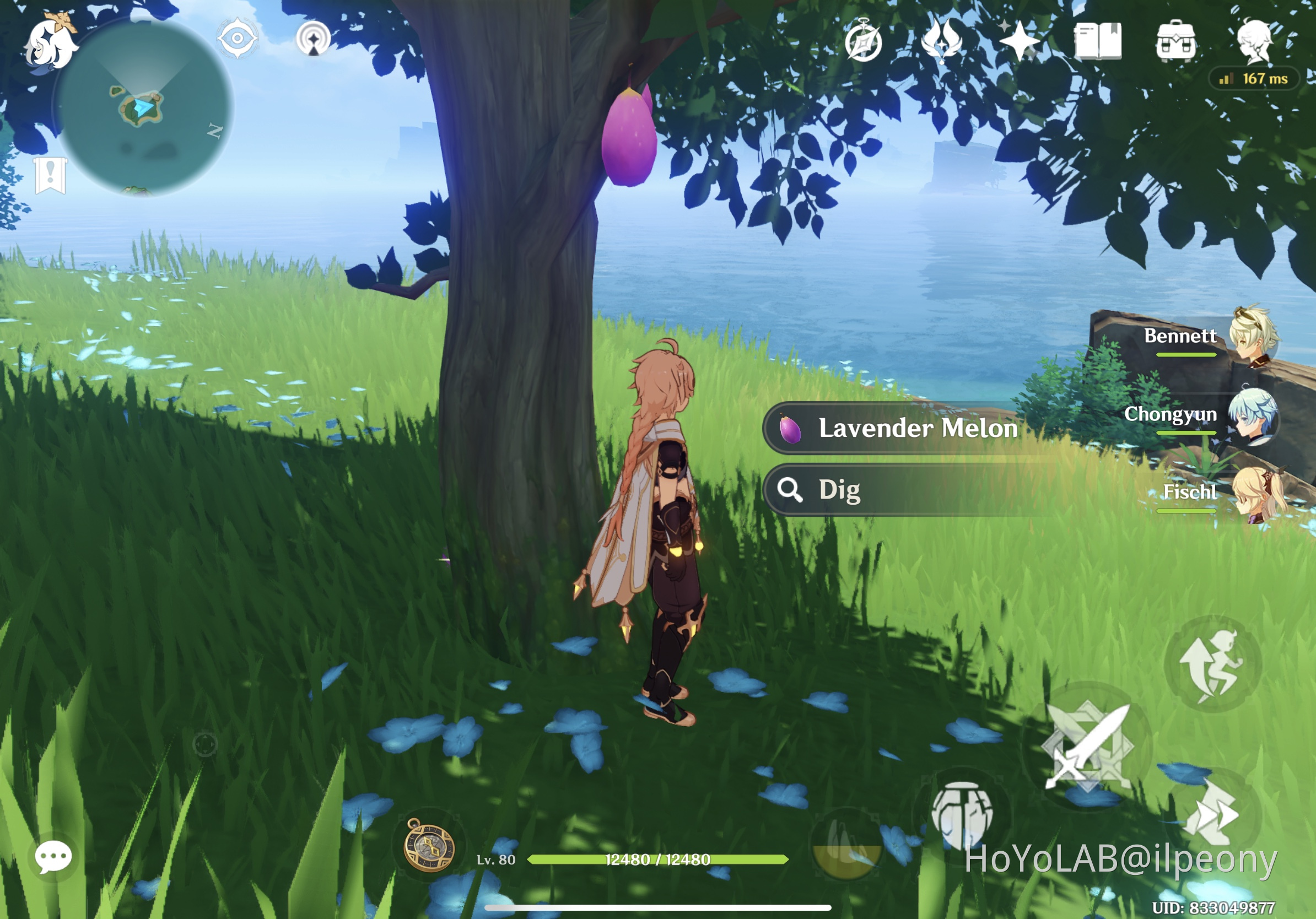 Inazuma dig chest Genshin Impact HoYoLAB