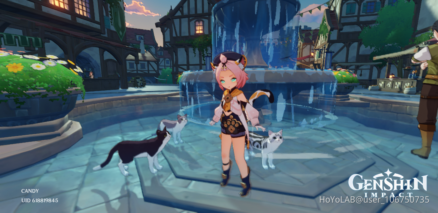 cute cats Genshin Impact | HoYoLAB