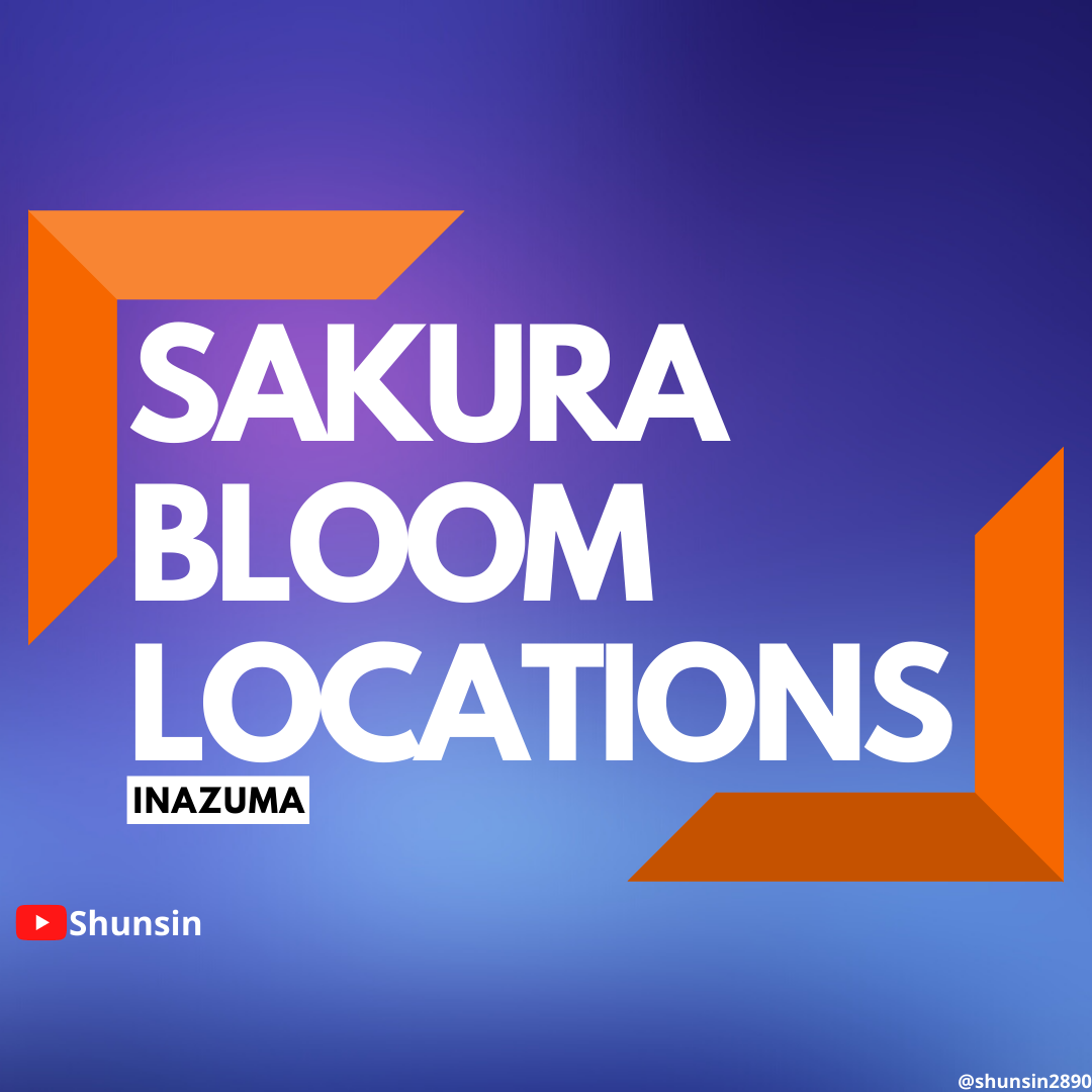 [Sakura Bloom Locations By Shunsin] Genshin Impact HoYoLAB