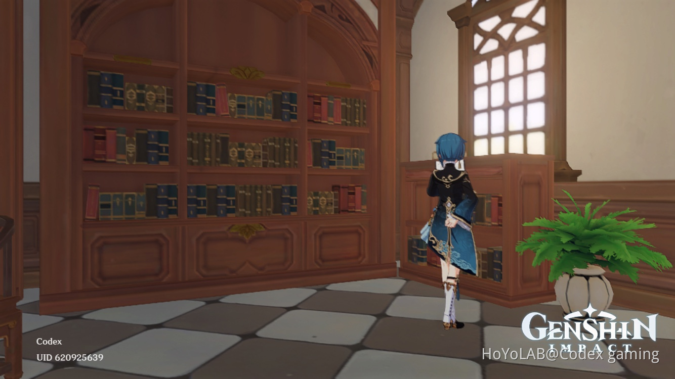 What kind of furniture would you like to see in the game? Genshin