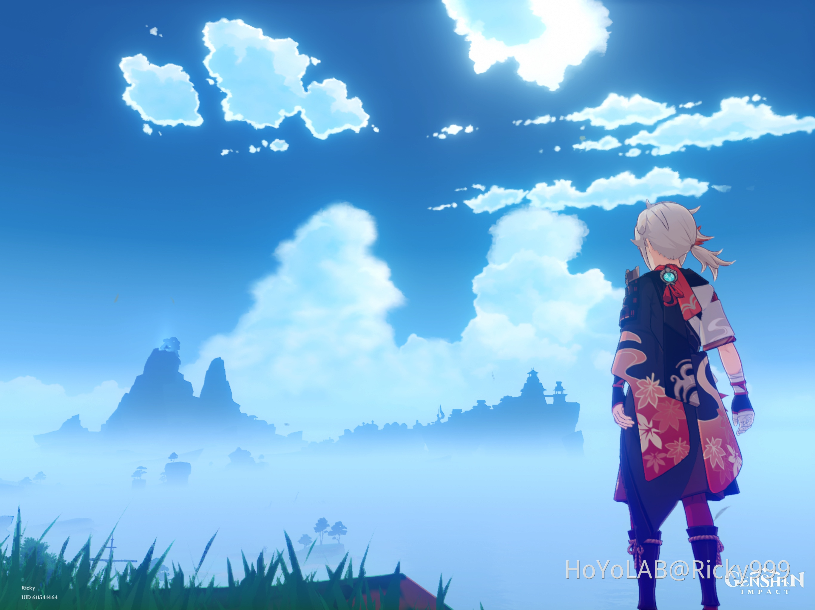 The Vortex! Genshin Impact HoYoLAB