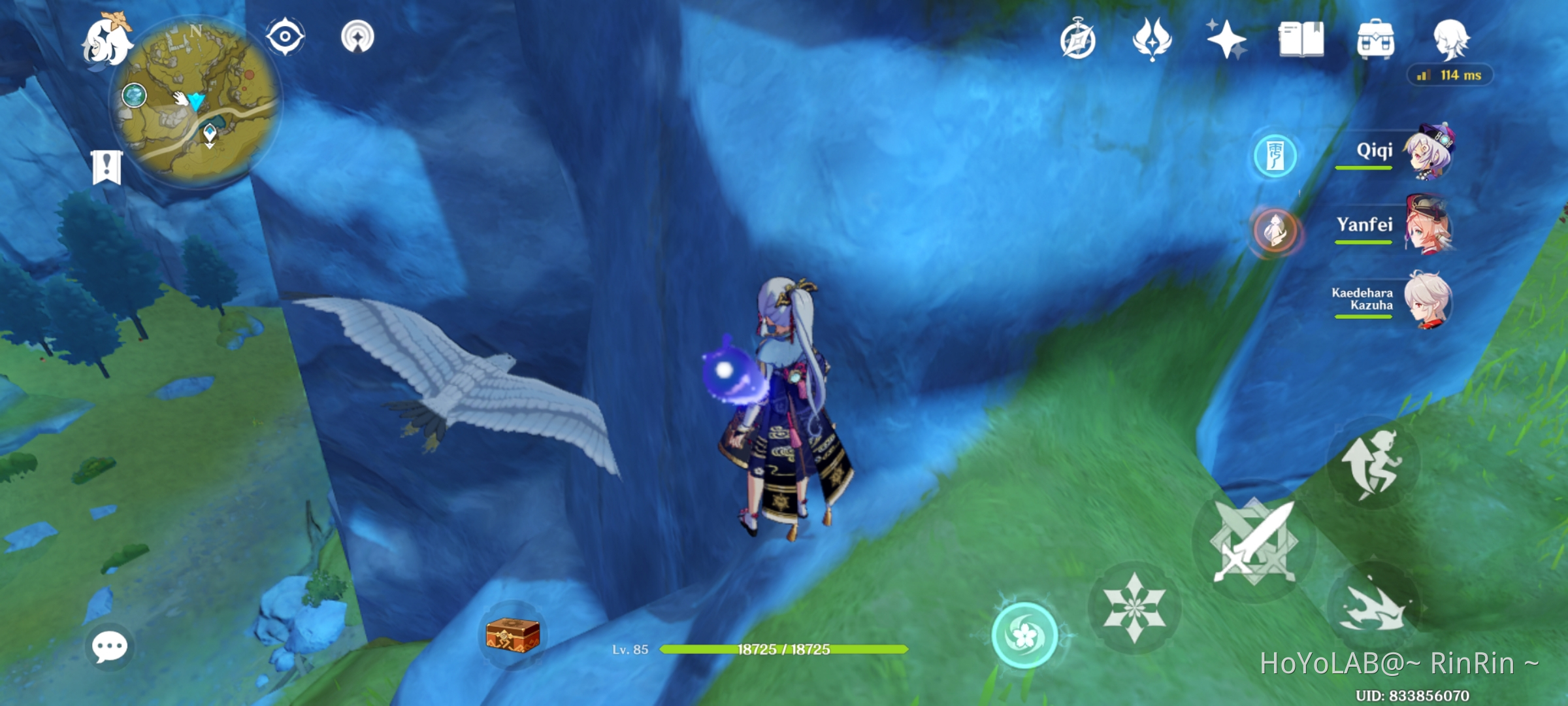 SHOOTING EAGLE..? ;'') Genshin Impact HoYoLAB