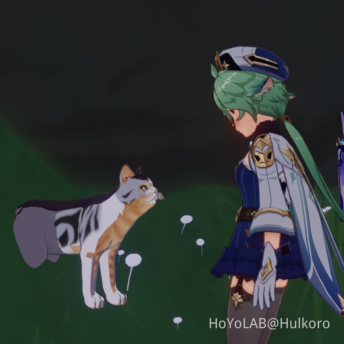 6 in 1 cat Genshin Impact HoYoLAB