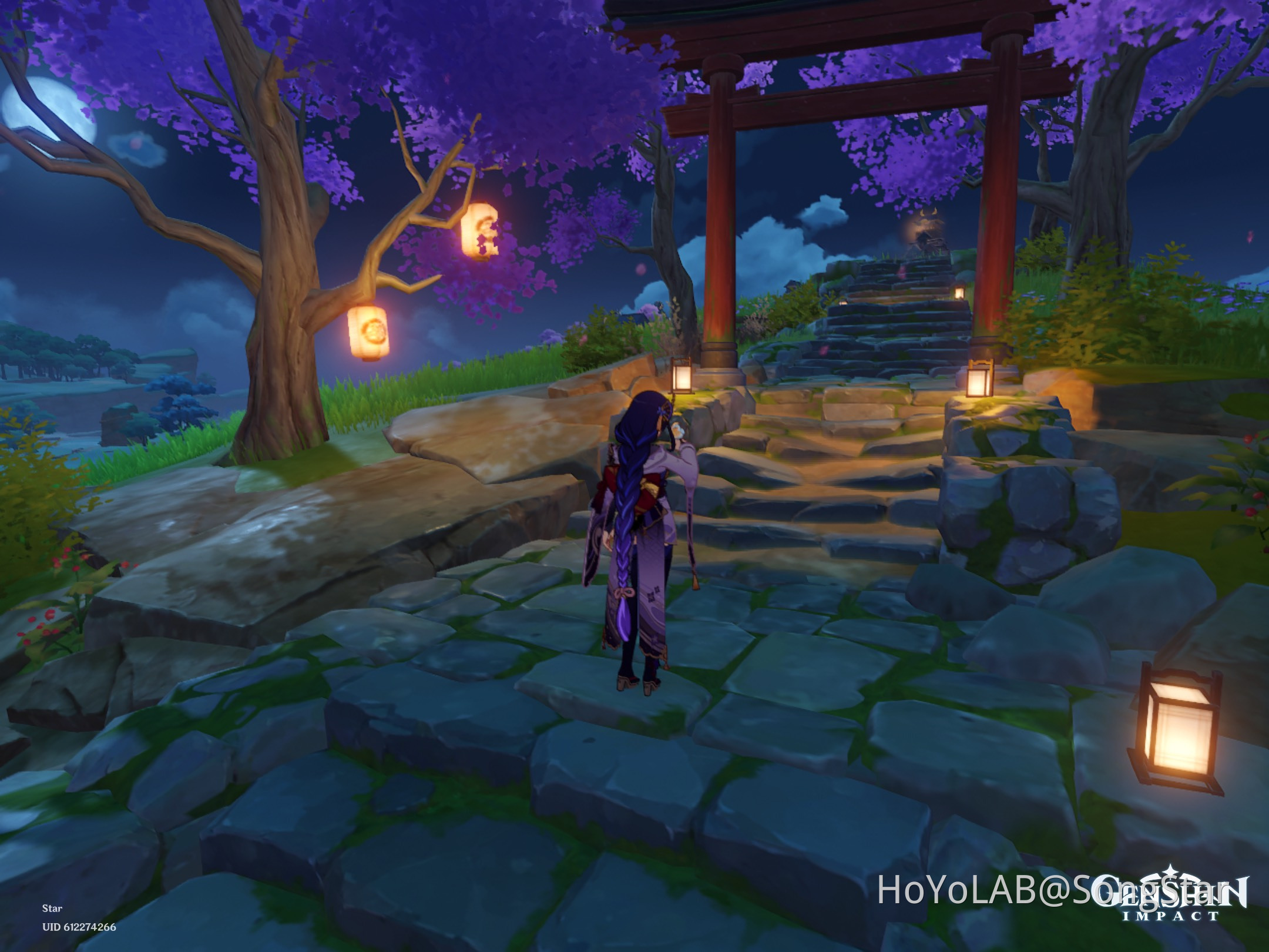 Cherry Blossoms Genshin Impact HoYoLAB