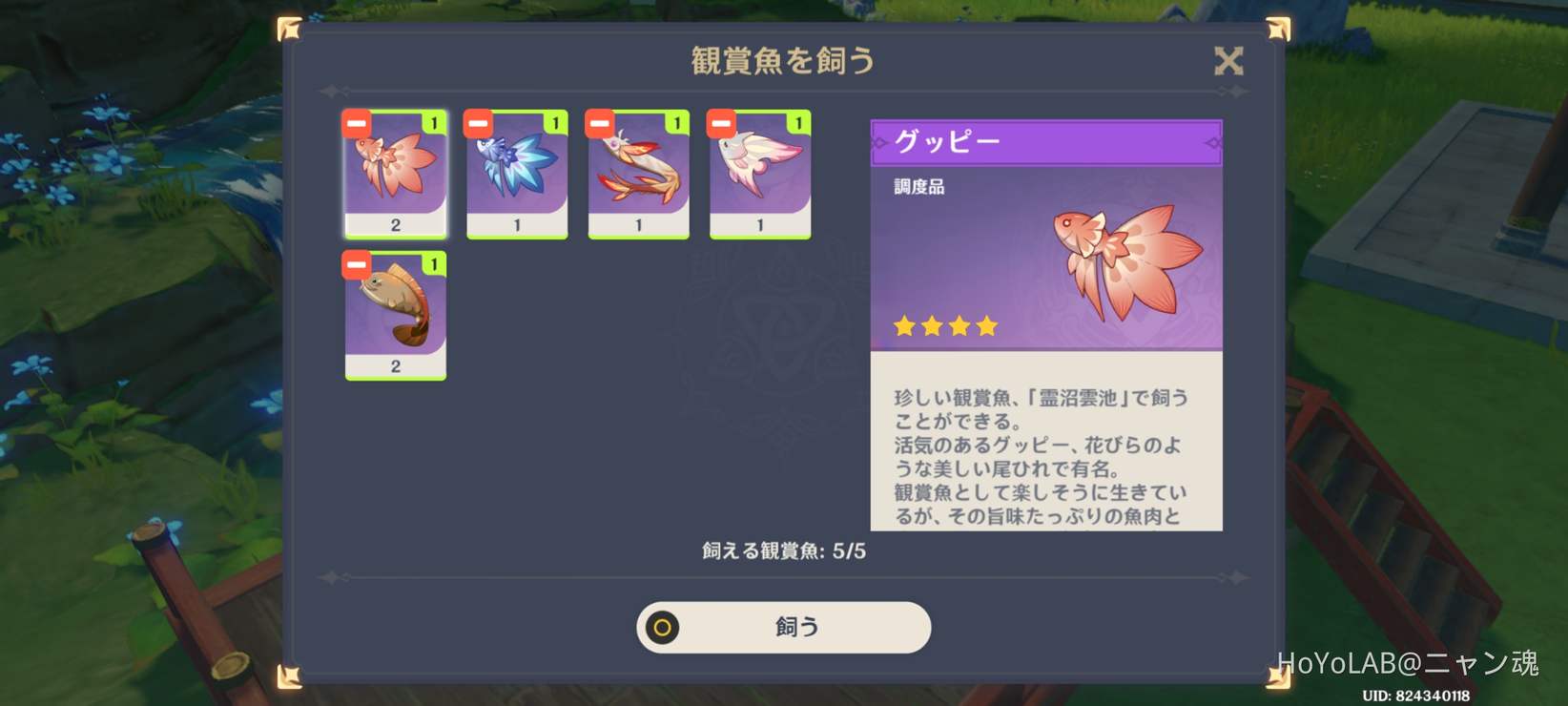 生簀が想像以上にデカ過ぎた件 笑 Mihoyo Player Community