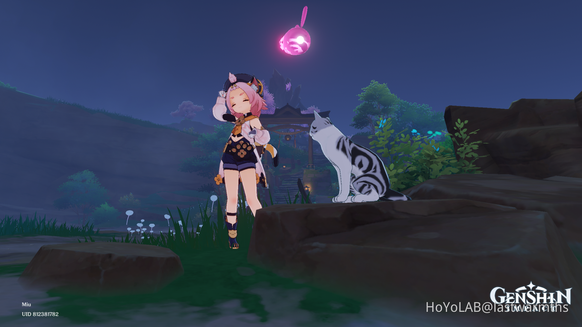 cats ^-^ Genshin Impact | HoYoLAB