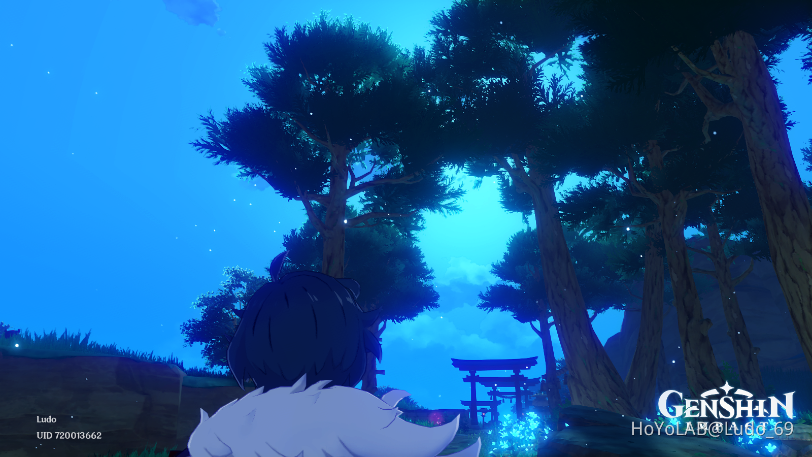 Kayak Genshin Impact HoYoLAB