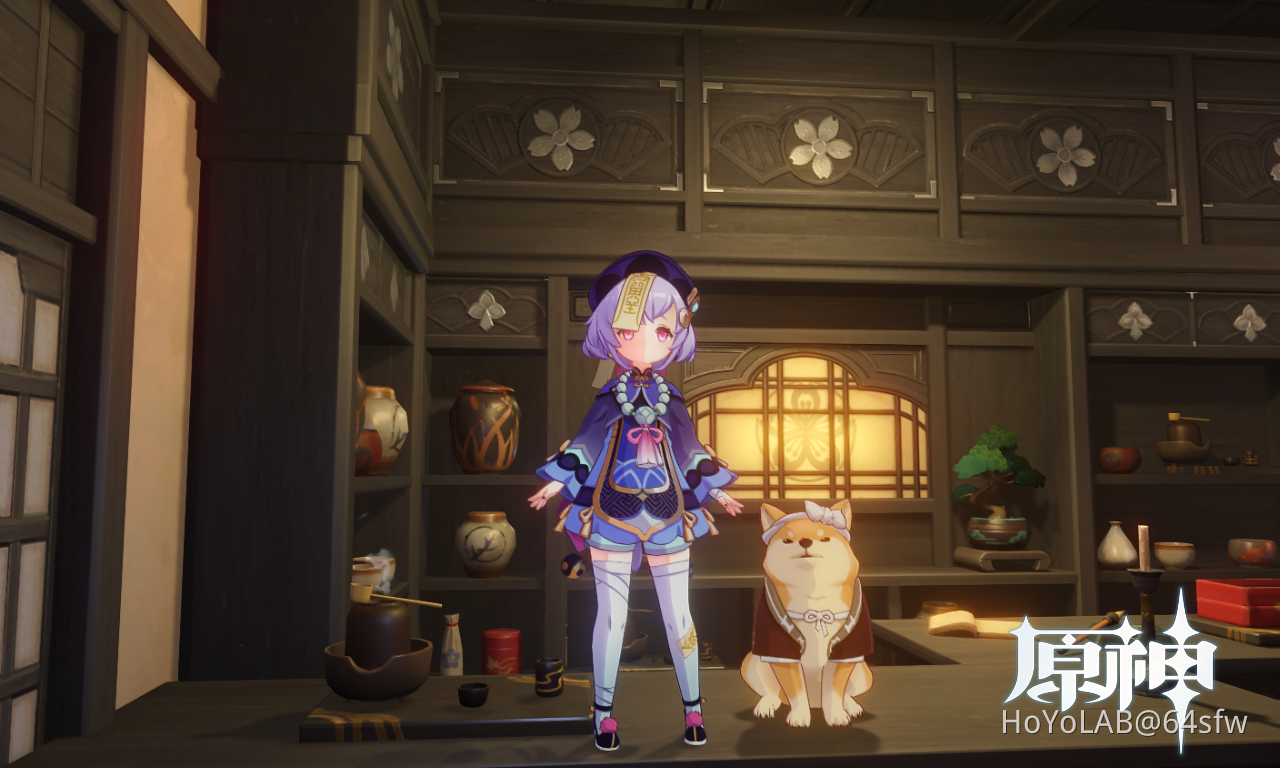 qiqi and the dog Genshin Impact HoYoLAB