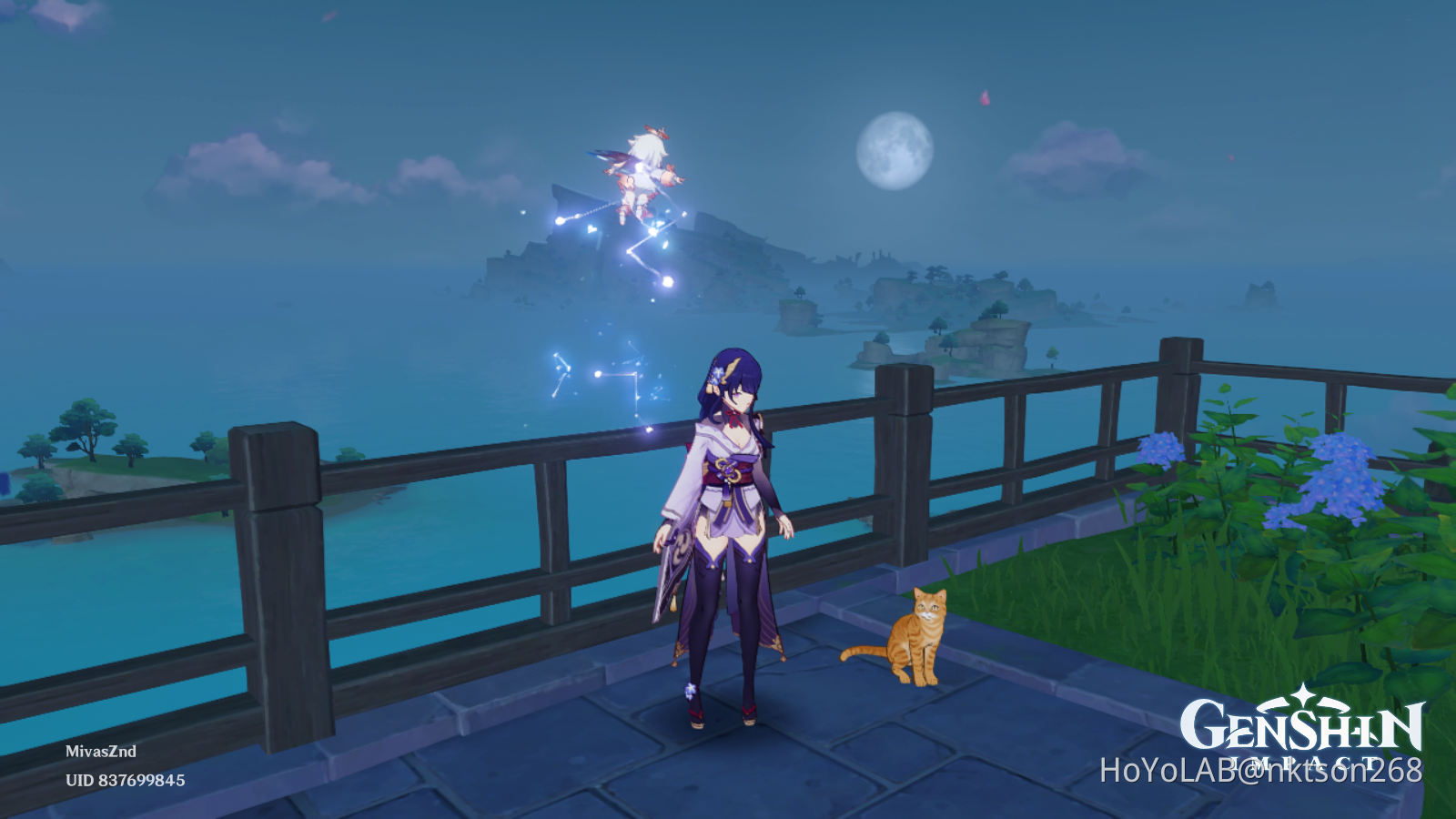 Two cat in the picture =) Genshin Impact | HoYoLAB