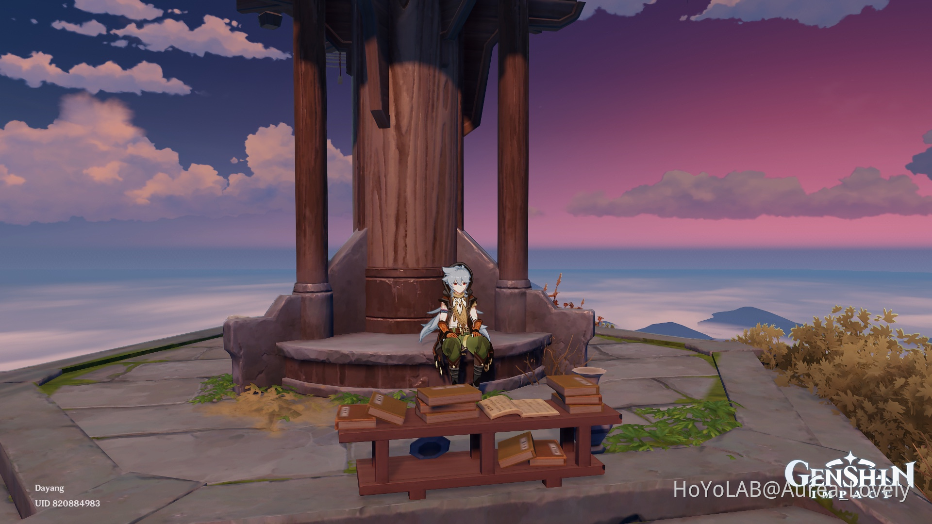 Wishing spot Genshin Impact HoYoLAB